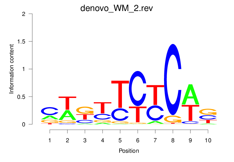 reverse compliment motif logo