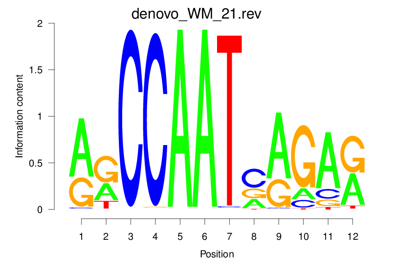 reverse compliment motif logo