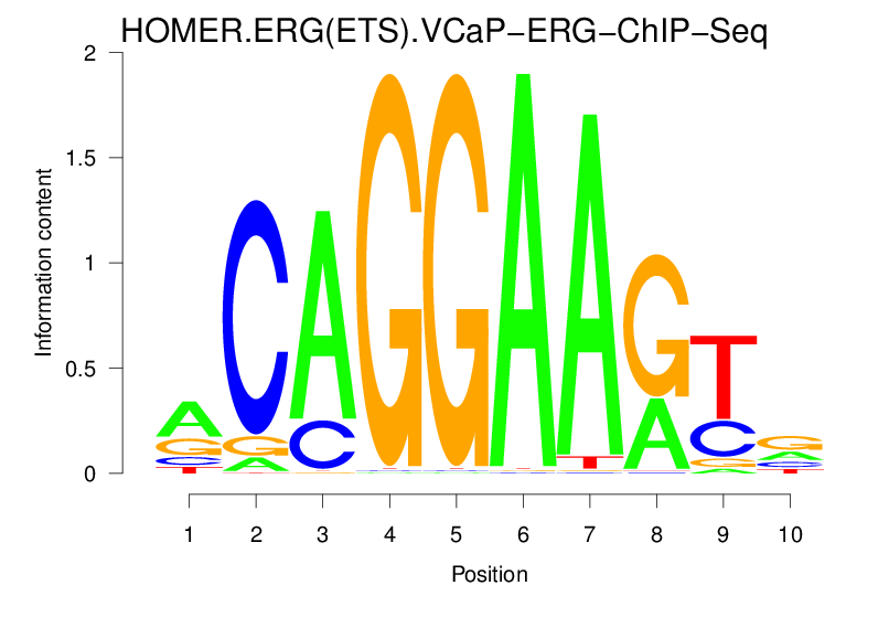 motif logo