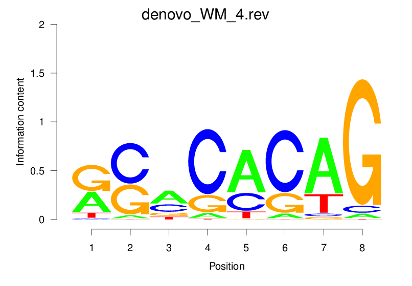 reverse compliment motif logo